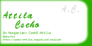 attila cseho business card